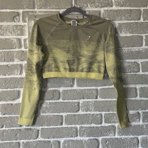 Gym shark cropped long sleeve